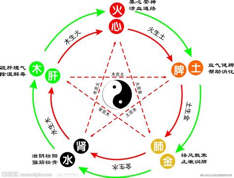 書 五行屬性|书字的五行属性是什么